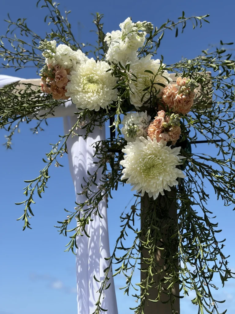 Weddings